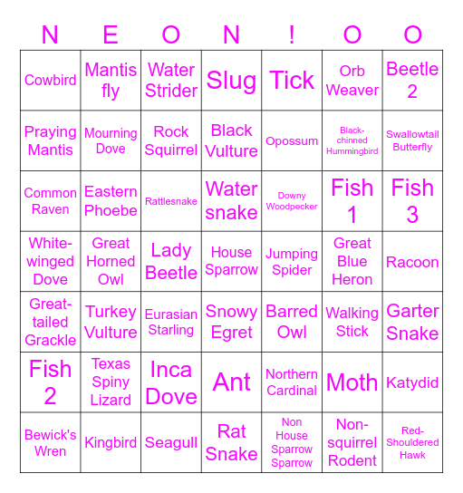 Common Animals of San Antonio Bingo Card