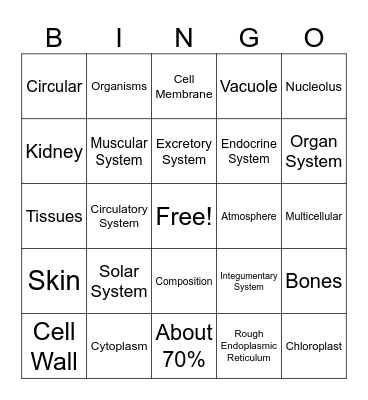 1st 9 Weeks Review Bingo Card