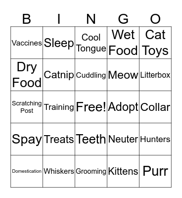 General Cat Care Bingo Card