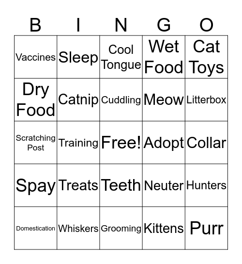 General Cat Care Bingo Card