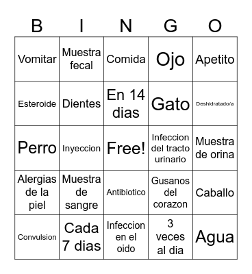 A Day as a Bilingual Veterinarian Bingo Card