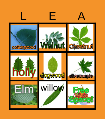 Leaves BINGO Card