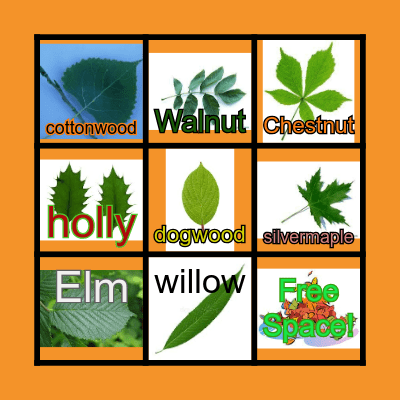 Leaves BINGO Card
