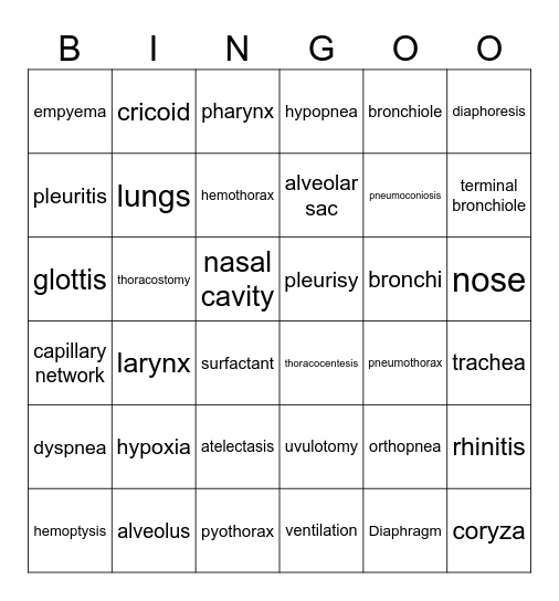 Respiratory System Review Bingo Card