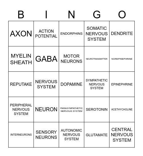 NERVOUS SYSTEM Bingo Card