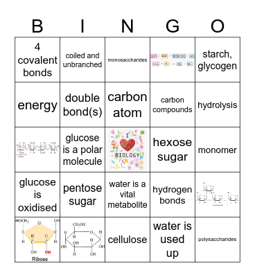 Carbohydrate Lesson Bingo Card