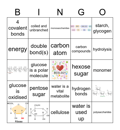 Carbohydrate Lesson Bingo Card