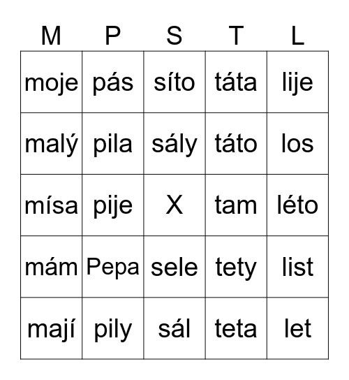 Slova do Y Bingo Card