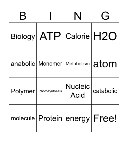 Bio Bingo Card