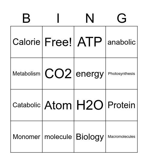 Bio Bingo Card