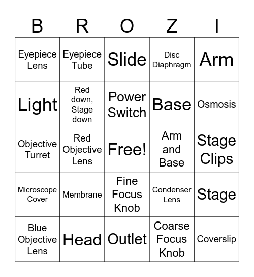 BROZI Bingo Card