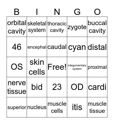 Medical Bingo 1 Bingo Card