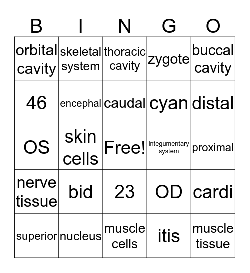 Medical Bingo 1 Bingo Card