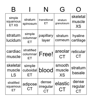 Histology for biology 361 Bingo Card