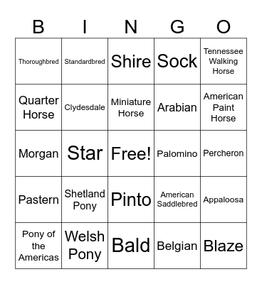 Horse Breed Bingo Card