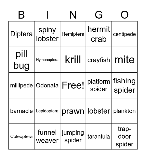 Arthropods Bingo Card