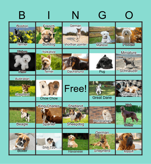 Dogs Bingo Card
