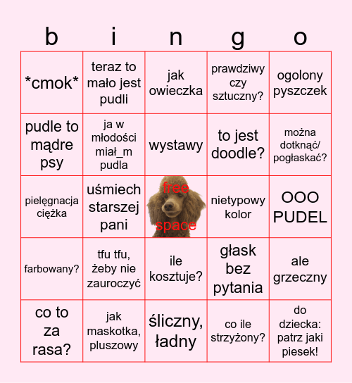 spacer z Dantem Bingo Card