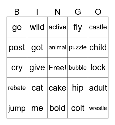 Wilson- Syllable Types and Exceptions Review Bingo Card