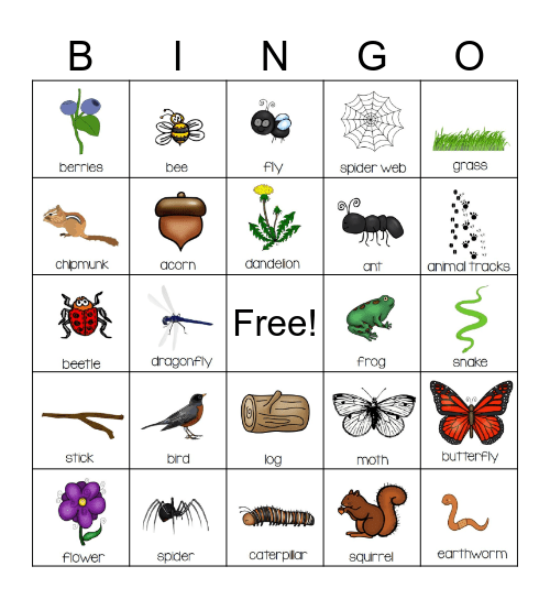 Nature Bingo Card