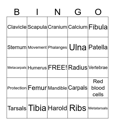 Yr8 Skeleton Bingo Card