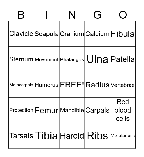 Yr8 Skeleton Bingo Card