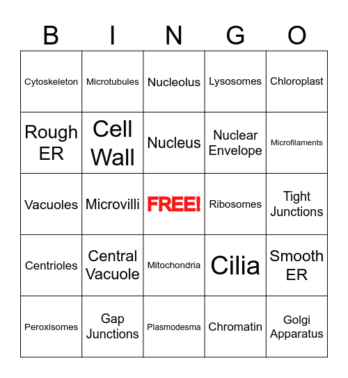 Organelle BINGO Card