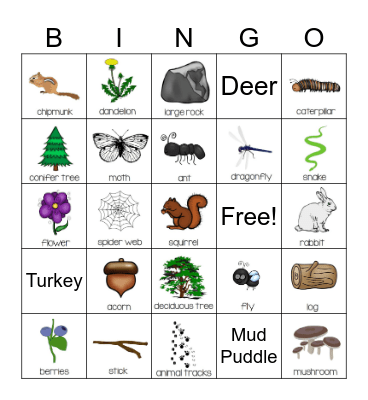 Trefoil Ranch Bingo Card
