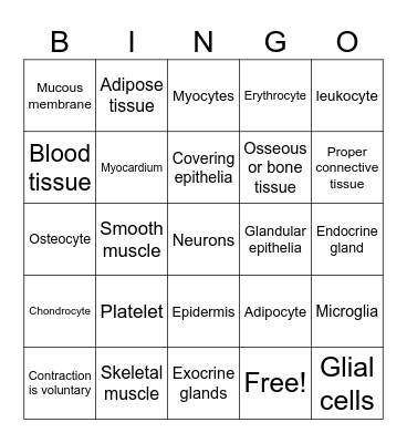 Tissues bingo Card