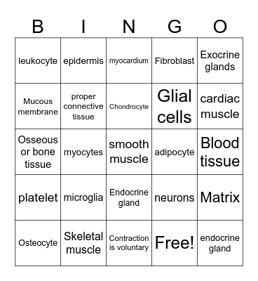 Tissues Bingo Card