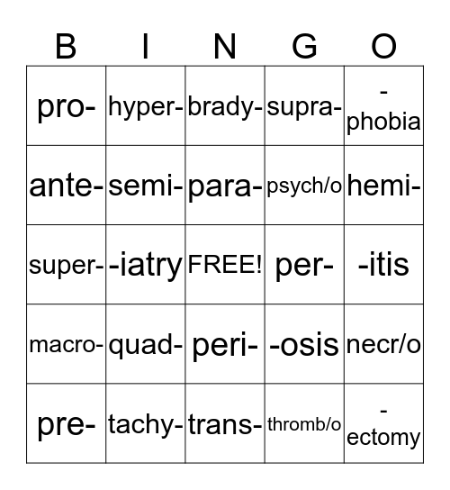 Terminology Chapter 1 Bingo Card
