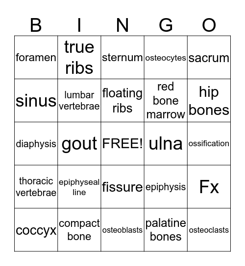Terminology Chapter 4 Bingo Card