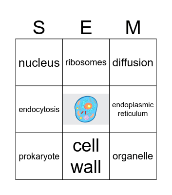 Cell Structure & Function Bingo Card