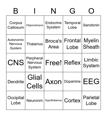 Biology and Behavior Bingo Card
