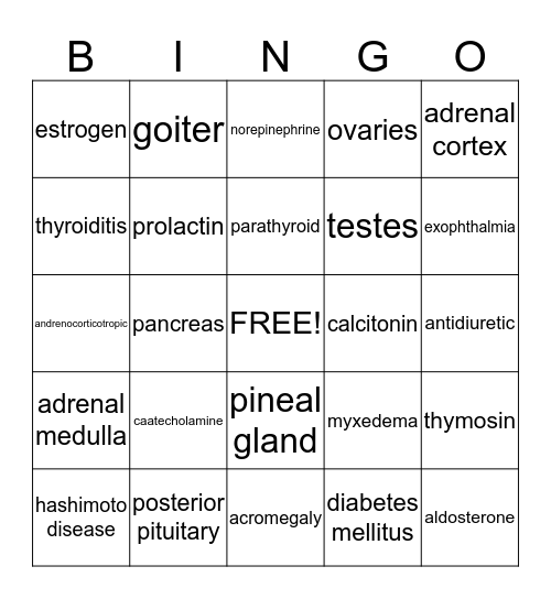 Terminology Chapter 8 Bingo Card