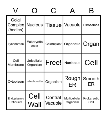 Organelles Bingo Card