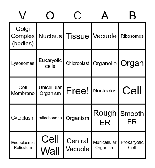 Organelles Bingo Card