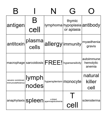 Terminology Chapter 12 Bingo Card