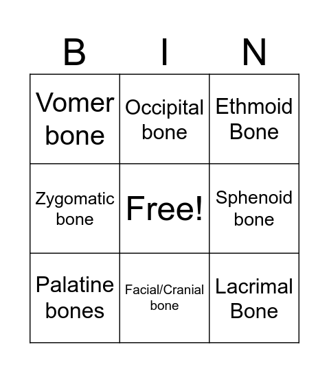 Cranial/Facial Bones Bingo Card