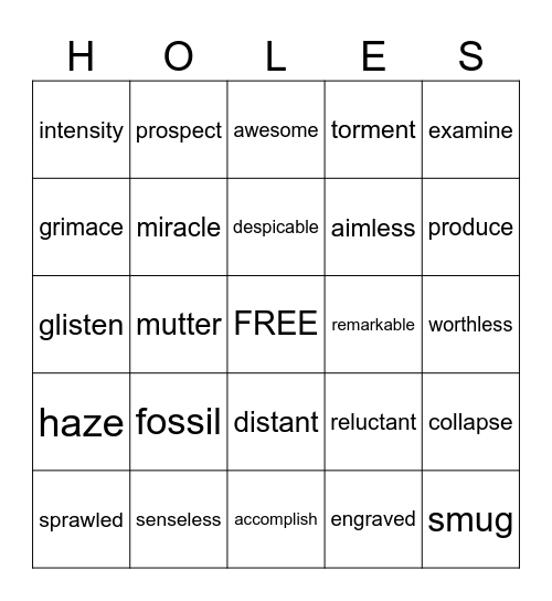 HOLES Vocabulary chapters 9-14 Bingo Card