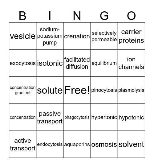 Membrane Transport Bingo Card