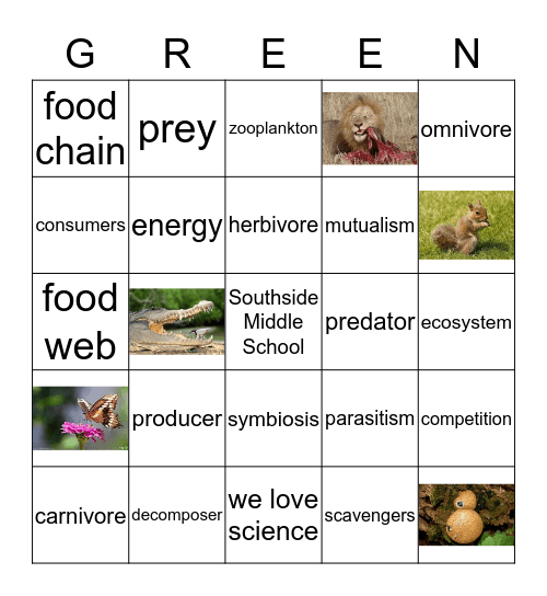 Food Web & Symbiosis Bingo Card