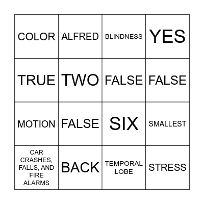 OCCIPITAL LOBE Bingo Card