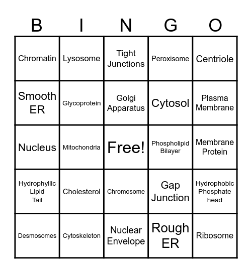 Anatomy of a Cell Bingo Card