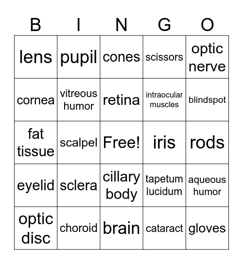 EyeBall Bingo Card