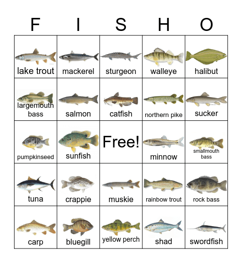 FISH BINGO Card