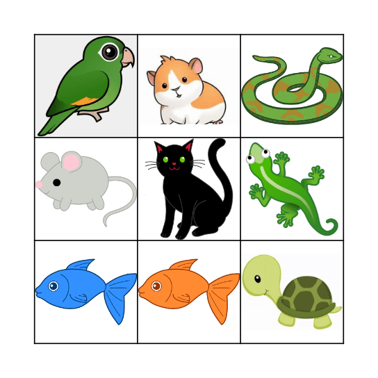 Pet Bingo Card