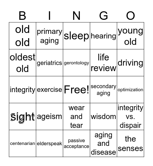 Late Adulthood Bingo Card