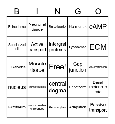 BIO200 Bingo Card