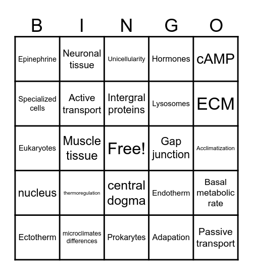 BIO200 Bingo Card